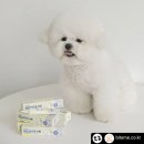 릴리브미 이미지