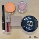 잇도라이크 | 21년 1월 둘째 주 MOTD Makeup of the Day 직장인 파우치