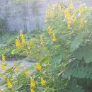 송충현 | 청년들이 성장을 꿈꾸는 사회 정부와 기업이 함께 만들어야