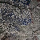 뭉개뭉개 이미지