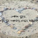 화랑태권도 이미지
