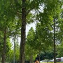 강변공원주차장 이미지