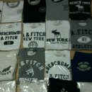 공룡코딱지 이미지