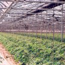 상월농장 이미지