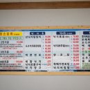 낙지아줌마 이미지