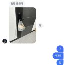 헤이;무거 | 뭔데 내 돼지였네 돼지런한 일상 /부산 짱구 팝업