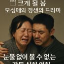 영화 ‘크게 될 놈’ 감상 후기 – 눈물 없이 볼 수 없는 모성애와 갱생