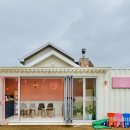 댕댕그라운드 이미지