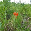 원동농장 이미지