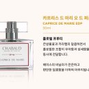 바닐라트래쉬