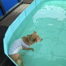 진규농장 이미지