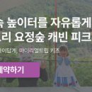 도토리요정숲