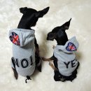 멍멍 스타일 이미지