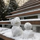 예람약국 이미지