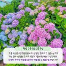 제343차 정기산행 고흥군 봉래면 나로도향길 120-1쑥섭수국축제 이미지