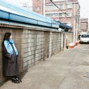 서울 백빈건널목 개인스냅 촬영 후기