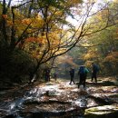 지리산 비린내골 ~작은새골 이미지