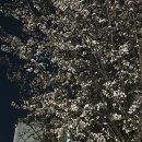 첨단2주거1호근린공원 이미지