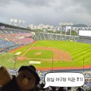 트윈스A | ​LG트윈스 잠실 야구장 직관 여름 프로야구 잠실 야구장 우천취소 기준