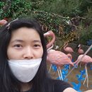 대웅주유소 | [안산여행] &lt;안산별빛마을 포토랜드&gt; 방문 후기(상록구 가볼만한 곳!)