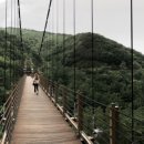 좌구산자연휴양림 이미지