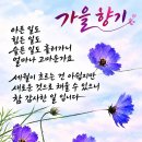수사파묘(搜査破墓) 이미지