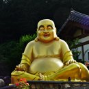 화신먹을거리 - 5028 | 화신먹을거리