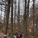 비래사약수터 | 계족산 황토길.