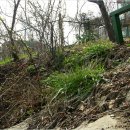 (주)정원 이미지