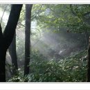해금강보이지 | 전주 인근 사찰 순례 / 극락암,일출암,위봉사,송광사,봉서사