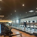 153 피트니스&필라테스 이미지