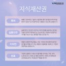 꿈벼락법인