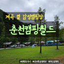 춘천캠핑월드 | 🌲춘천 자연 속 가을 힐링 캠핑, 춘천캠핑월드 후기 – 계곡 소리와 별빛 아래에서 1박 2일