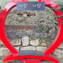 한국차문화공원 | 보성 한국차문화공원