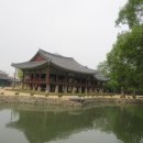 가나안식당 이미지