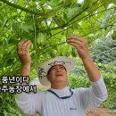 김정수농장 이미지