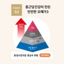 메가구조안전
