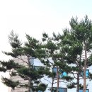 후아닝손짜장