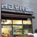 호야펫살롱 이미지