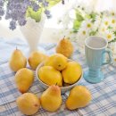 애월농장 이미지