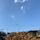 지리산 | 산청 원조지리산참숯굴찜질방 후기