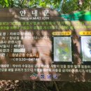 자하곡약수터 이미지