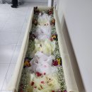 금강병원장례식장 네이버블로그