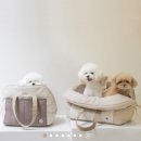 퍼피벨르 | 벼리의 첫 제주여행을 함께할 이동가방 고르기