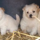 재경농장 이미지