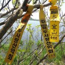 장안웃길 Daum카페