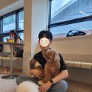 멍돌핀 | [신논현] 애견카페 멍돌핀에 다녀온 후기