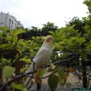 놀이터PC 이미지