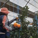 현이네농장 이미지