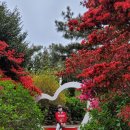 안덕농협주유소 이미지